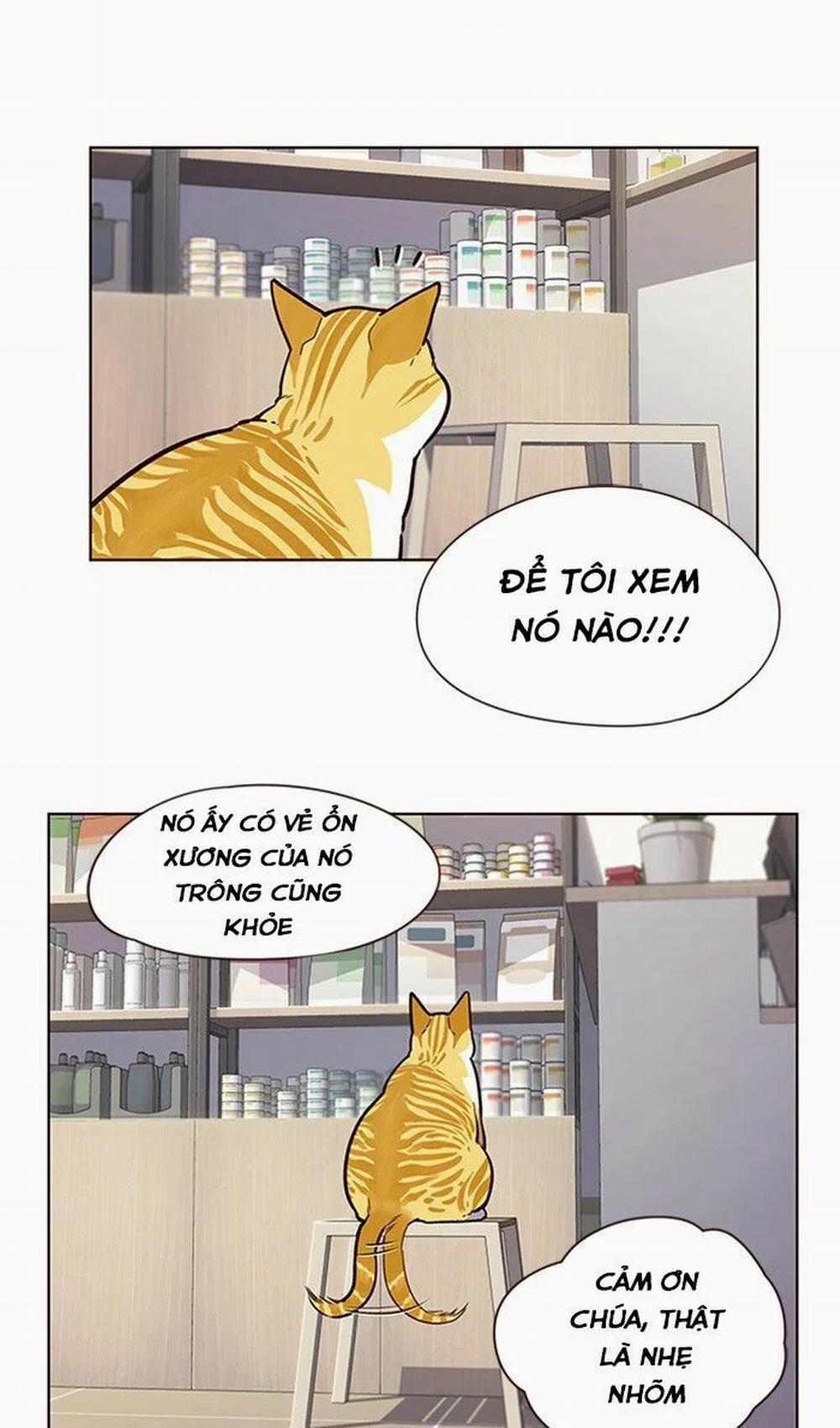 Hóa Thân Thành Mèo 10 trang 42