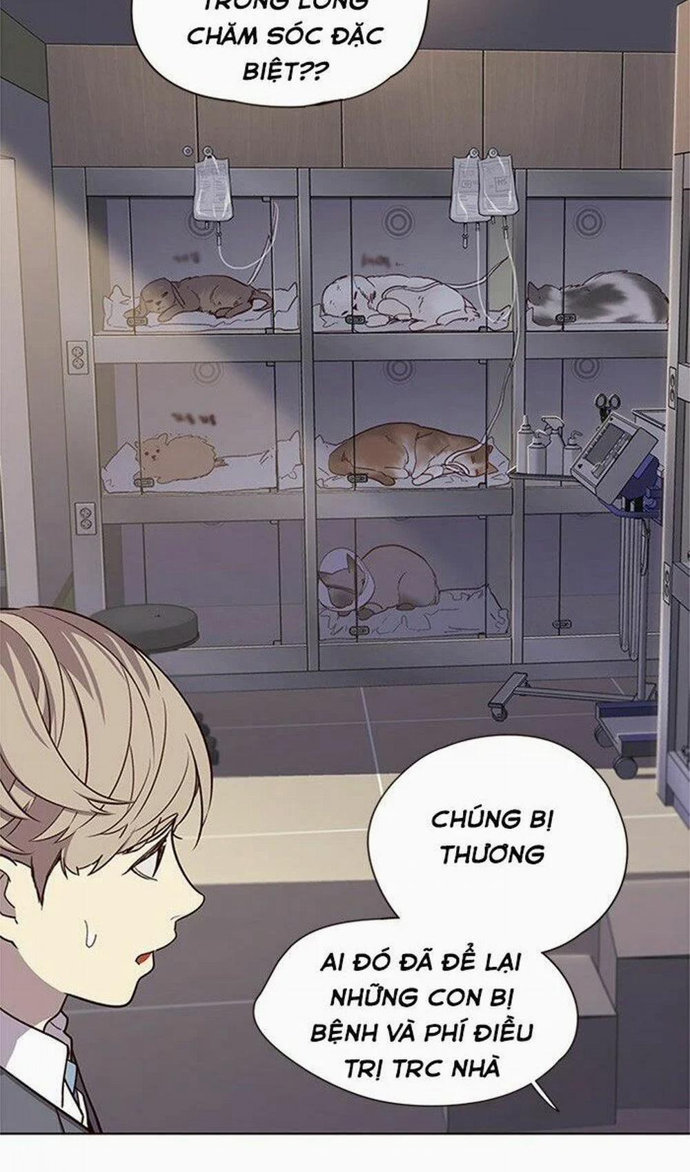 Hóa Thân Thành Mèo 10 trang 45