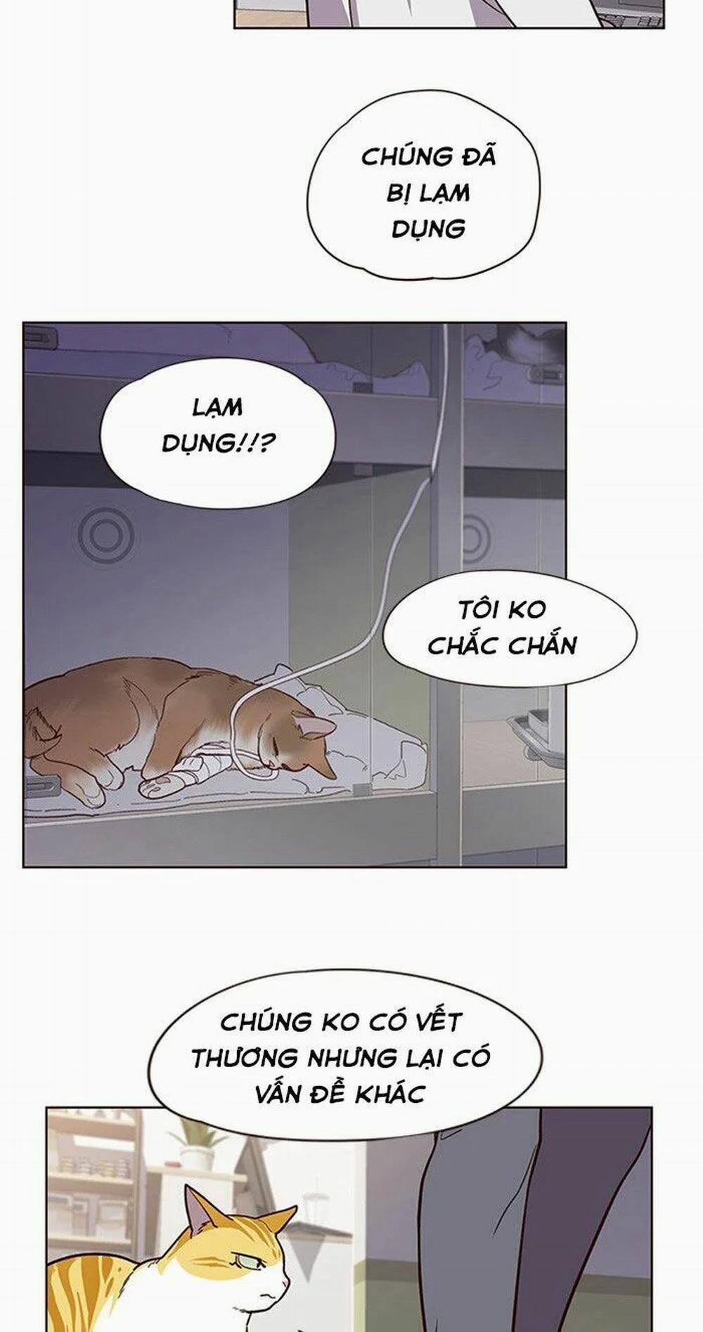 Hóa Thân Thành Mèo 10 trang 47