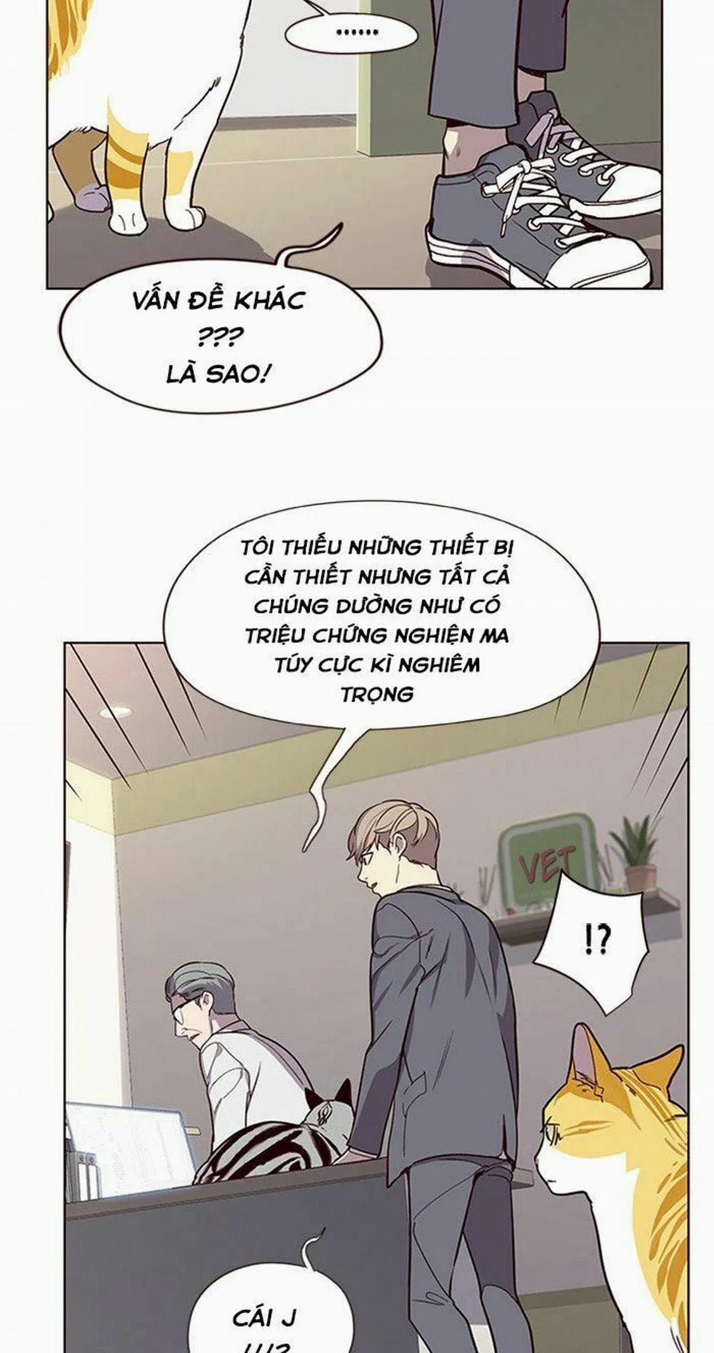 Hóa Thân Thành Mèo 10 trang 48