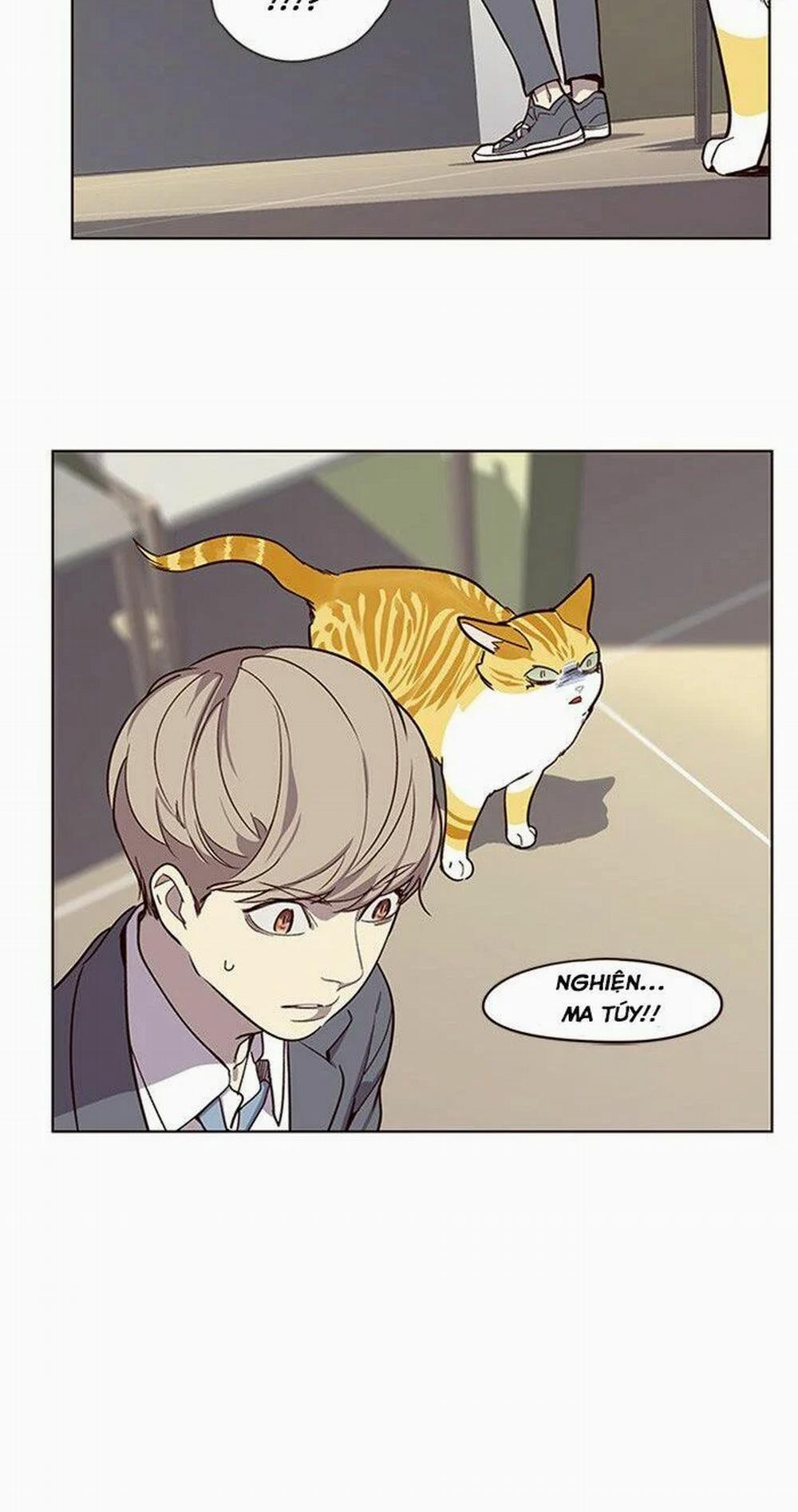 Hóa Thân Thành Mèo 10 trang 49