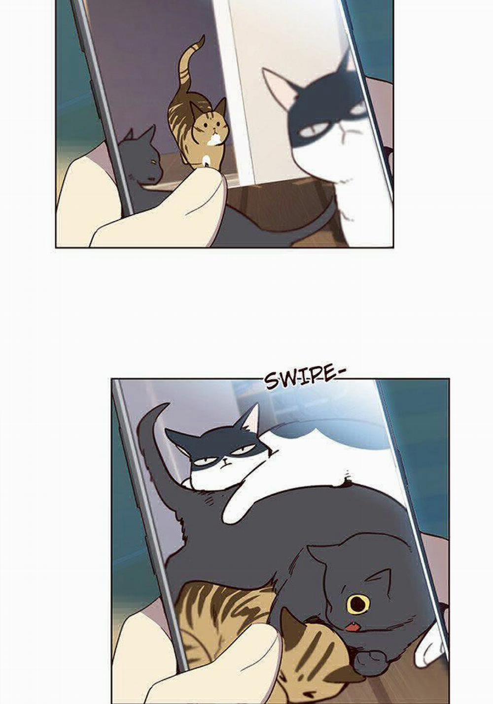 Hóa Thân Thành Mèo 11 trang 20