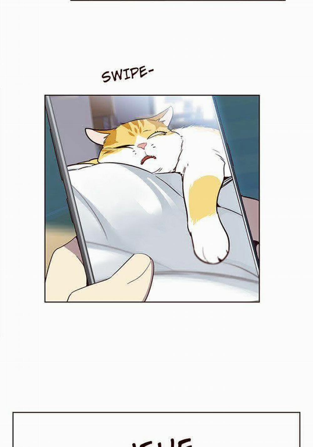 Hóa Thân Thành Mèo 11 trang 21