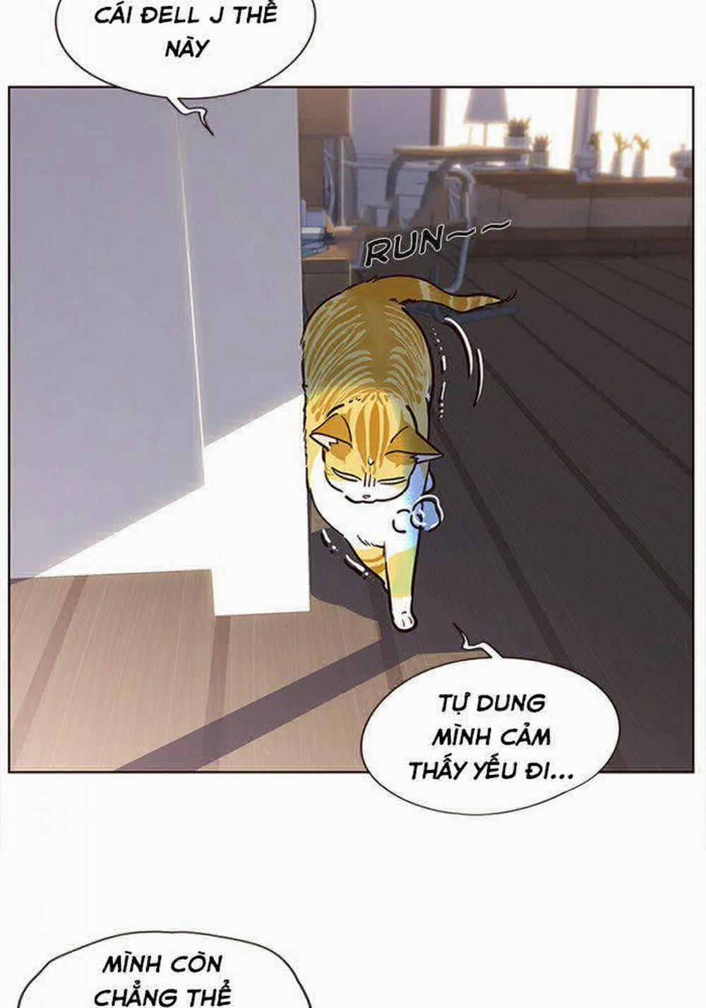 Hóa Thân Thành Mèo 11 trang 29