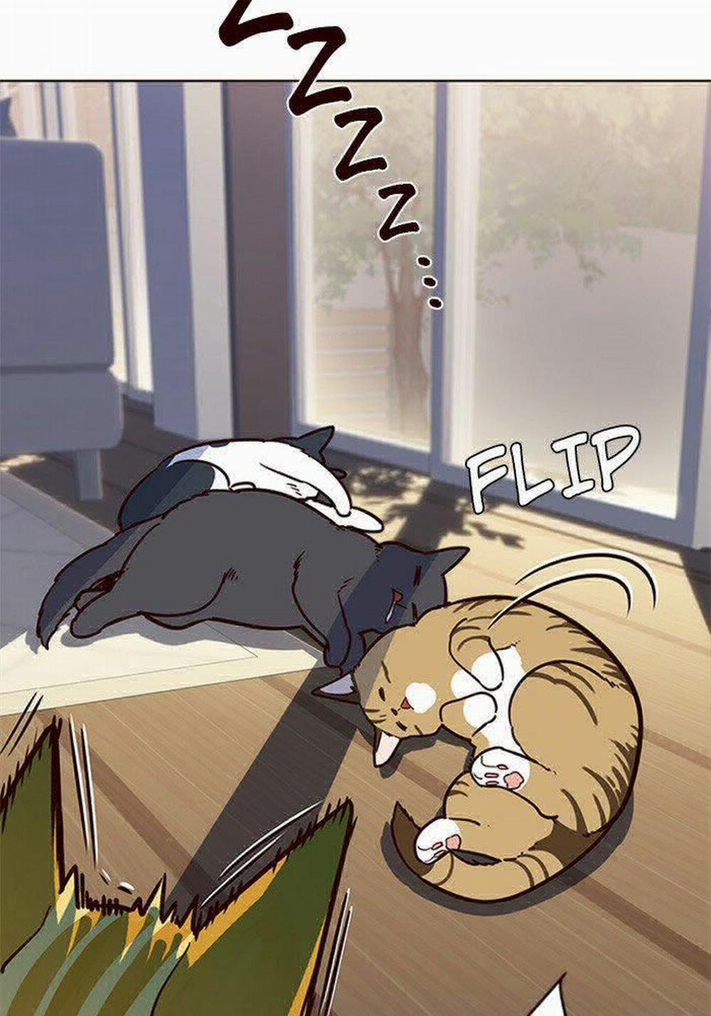 Hóa Thân Thành Mèo 11 trang 36