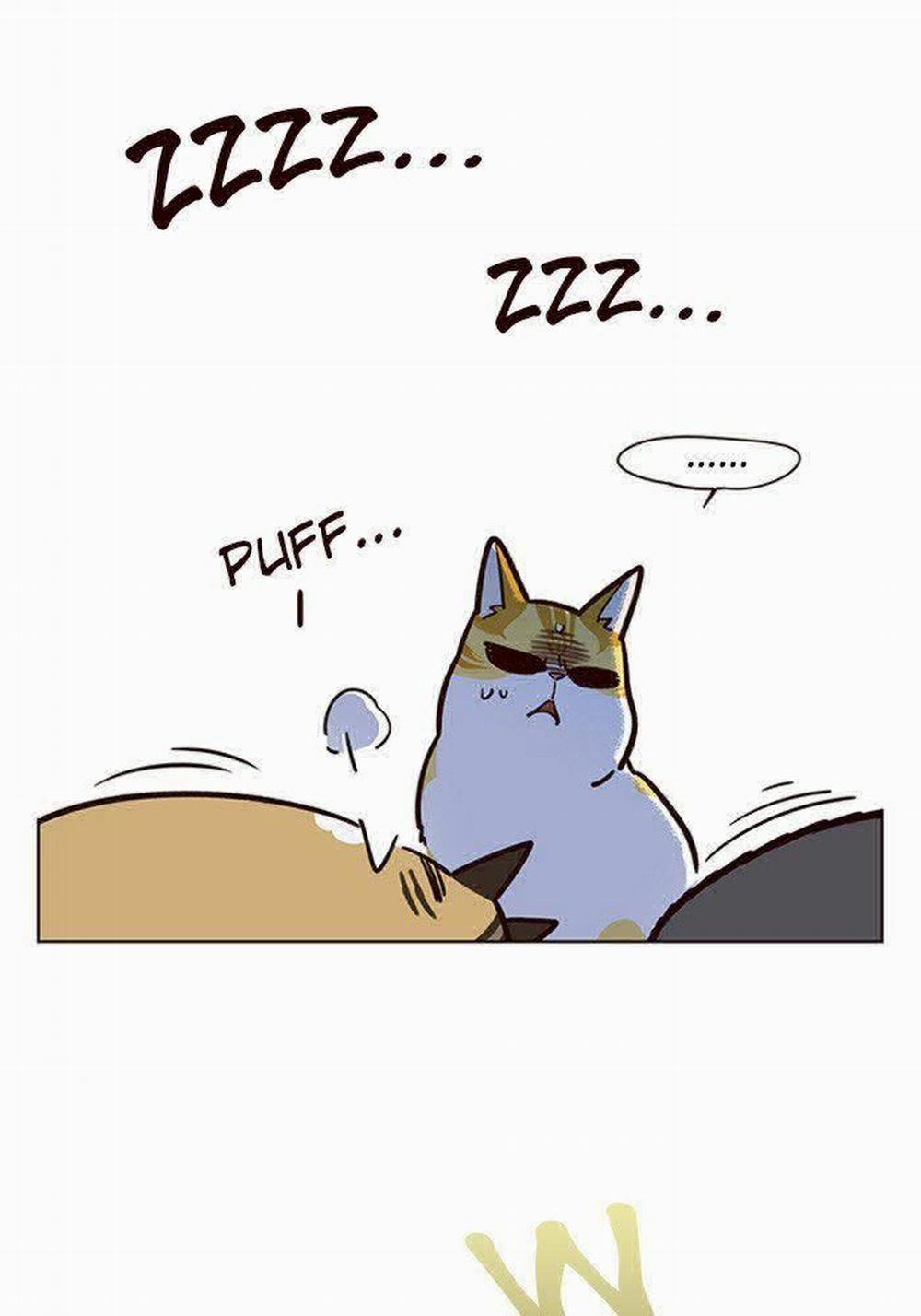 Hóa Thân Thành Mèo 11 trang 38