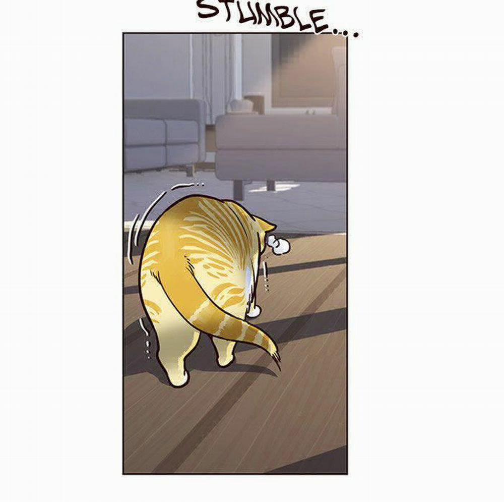 Hóa Thân Thành Mèo 11 trang 43