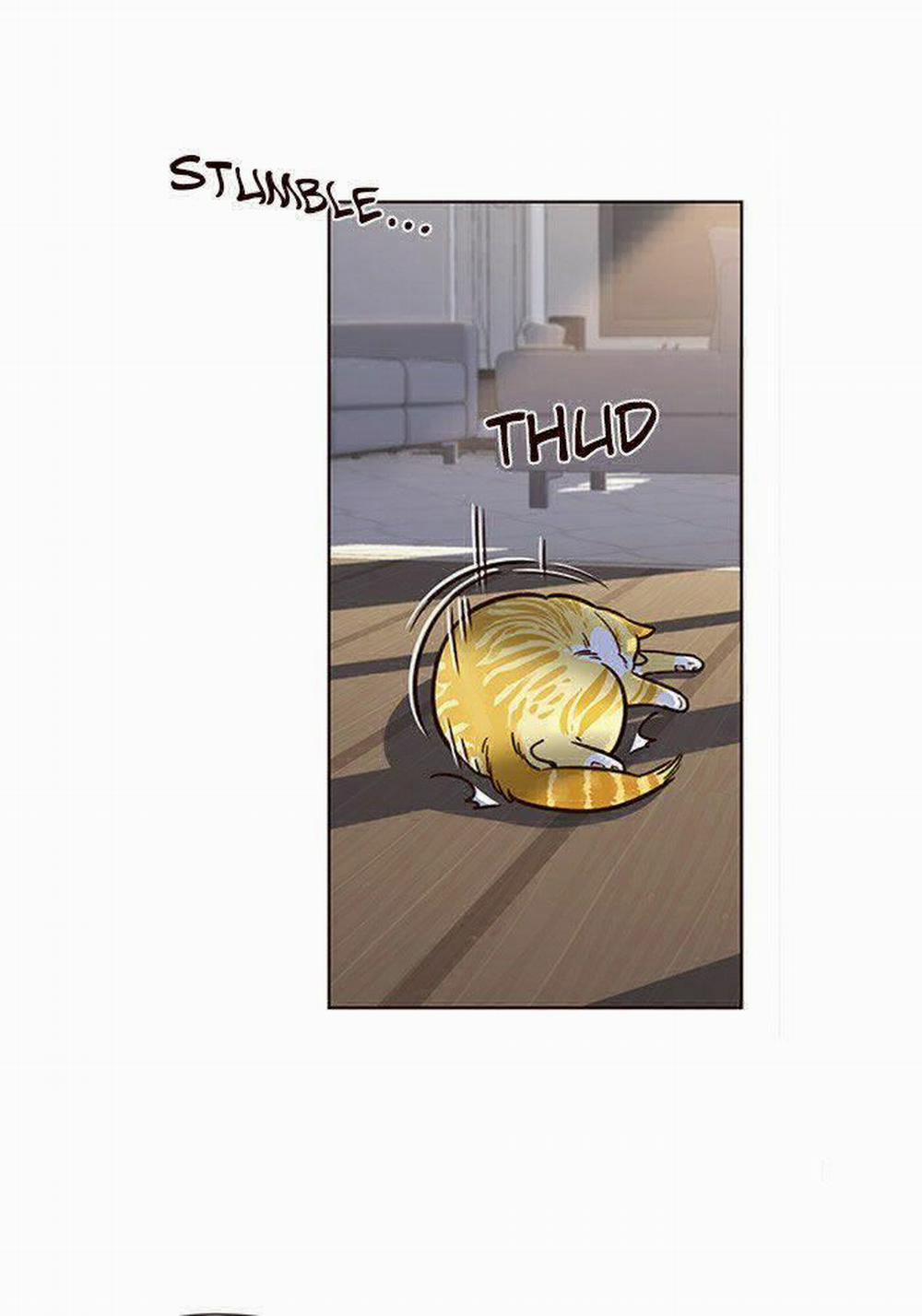 Hóa Thân Thành Mèo 11 trang 44