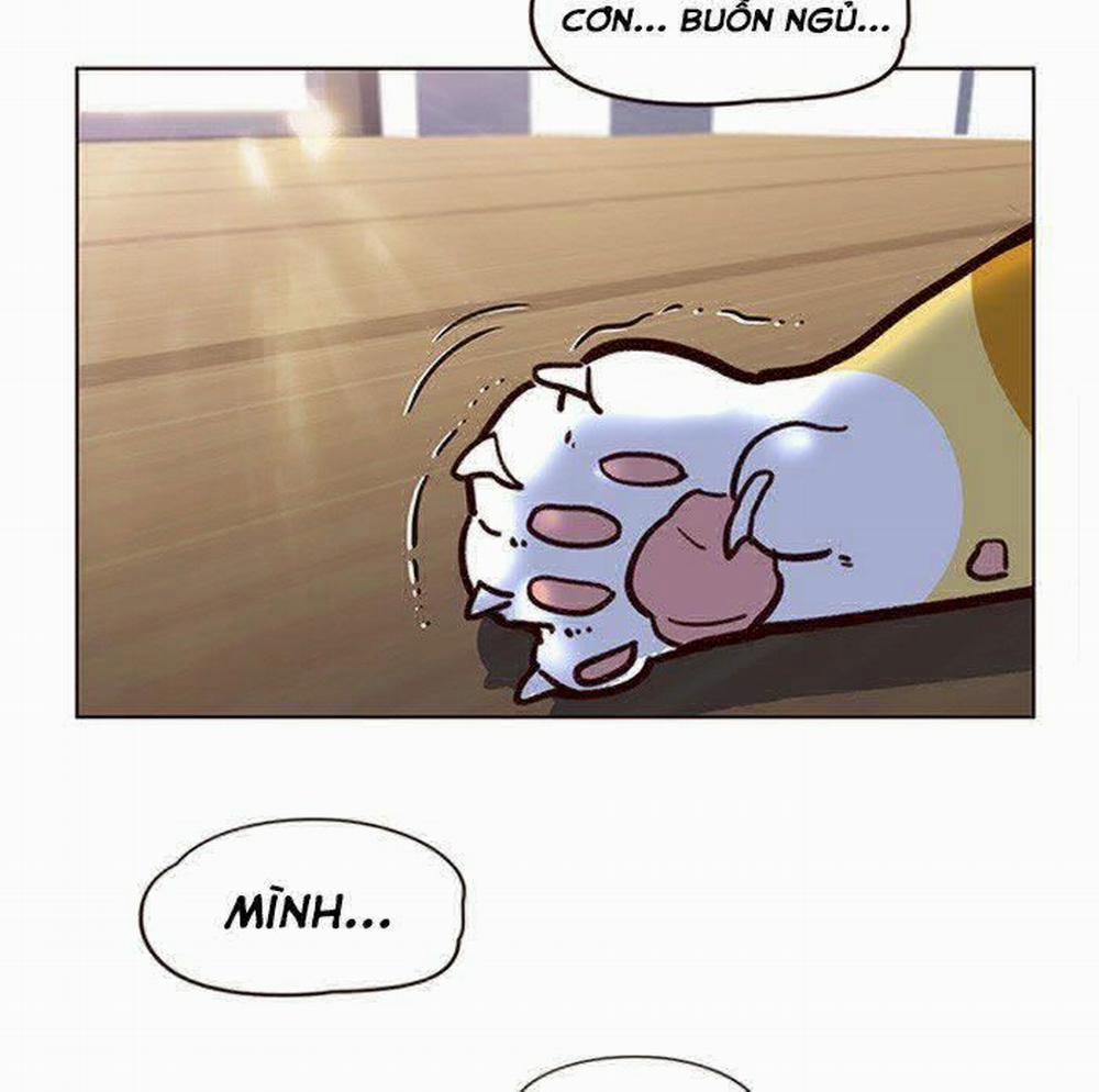 Hóa Thân Thành Mèo 11 trang 46