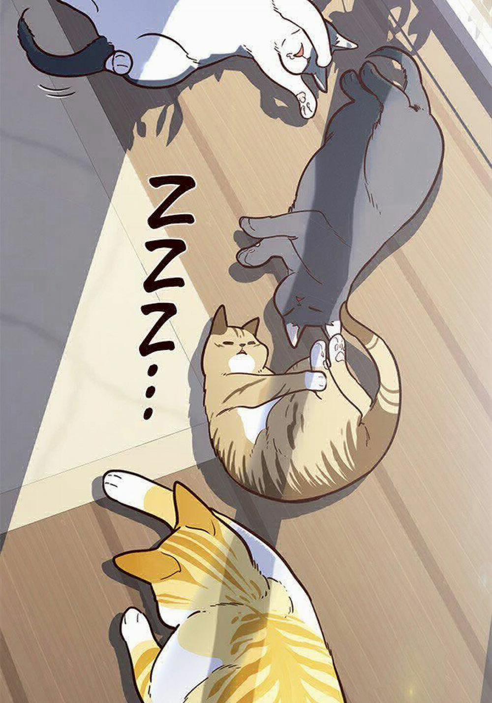 Hóa Thân Thành Mèo 11 trang 48