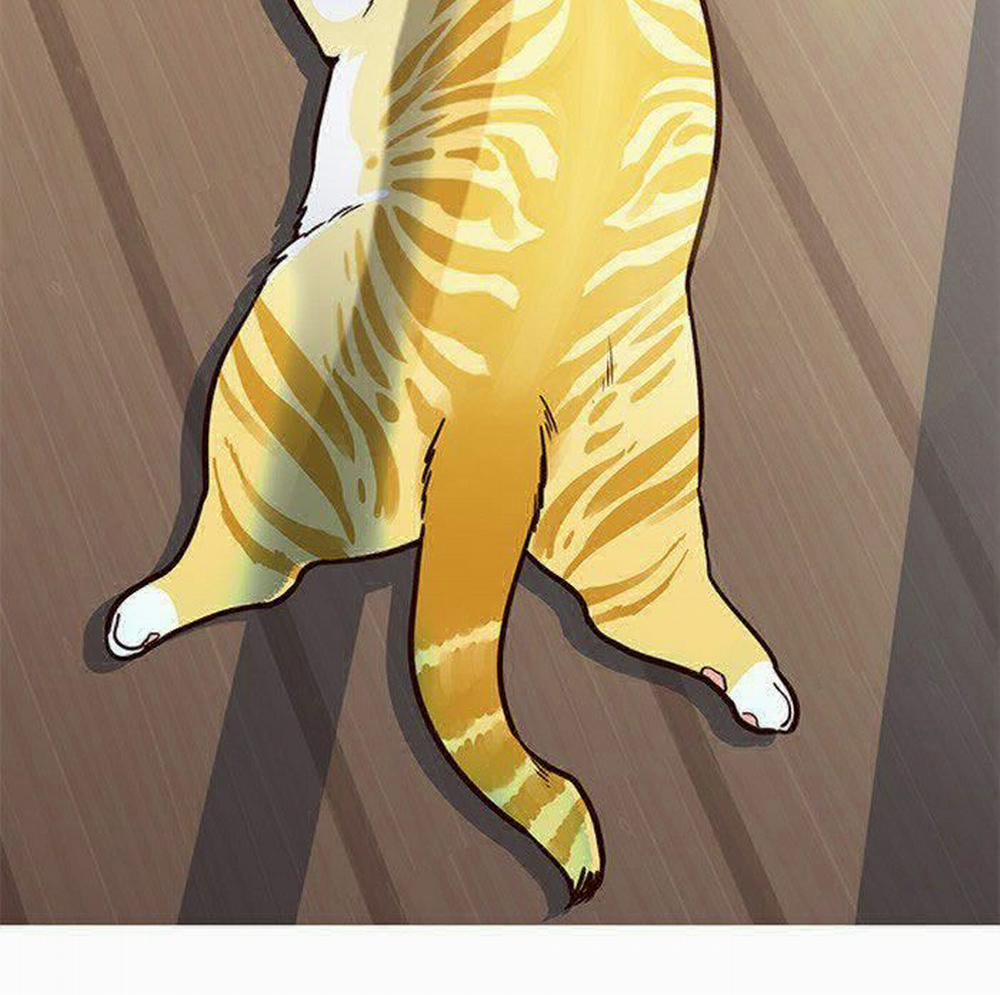 Hóa Thân Thành Mèo 11 trang 49