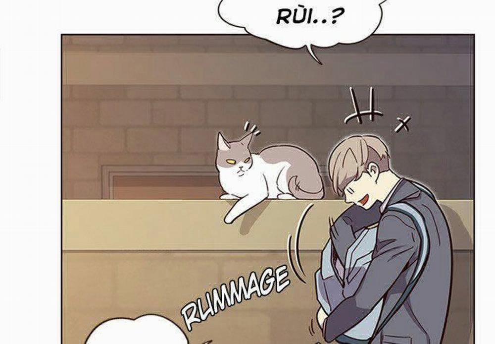 Hóa Thân Thành Mèo 11 trang 52