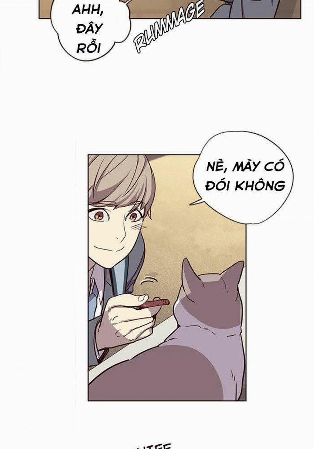 Hóa Thân Thành Mèo 11 trang 53