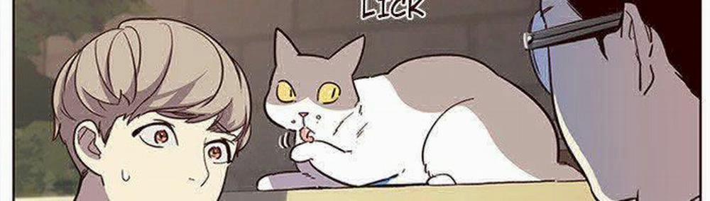 Hóa Thân Thành Mèo 11 trang 61