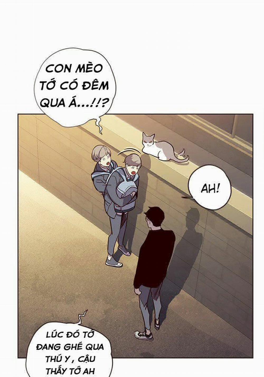 Hóa Thân Thành Mèo 11 trang 64