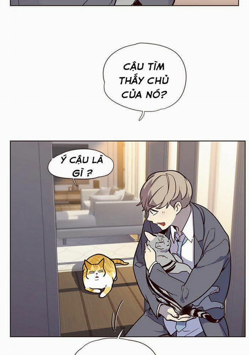 Hóa Thân Thành Mèo 11 trang 79