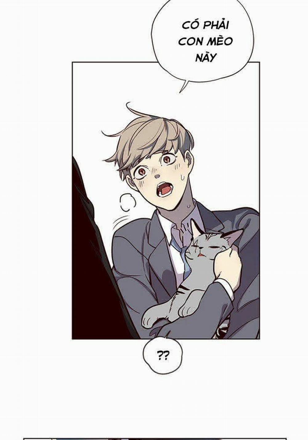 Hóa Thân Thành Mèo 11 trang 85