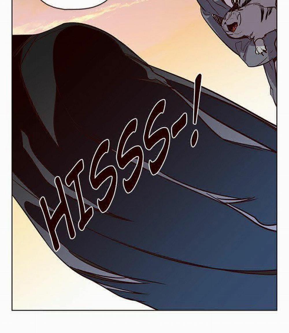 Hóa Thân Thành Mèo 11 trang 99