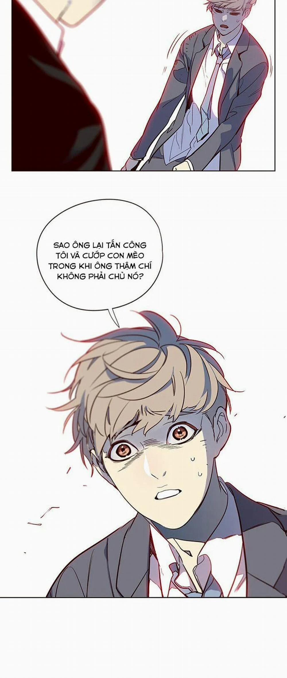 Hóa Thân Thành Mèo 12 trang 4