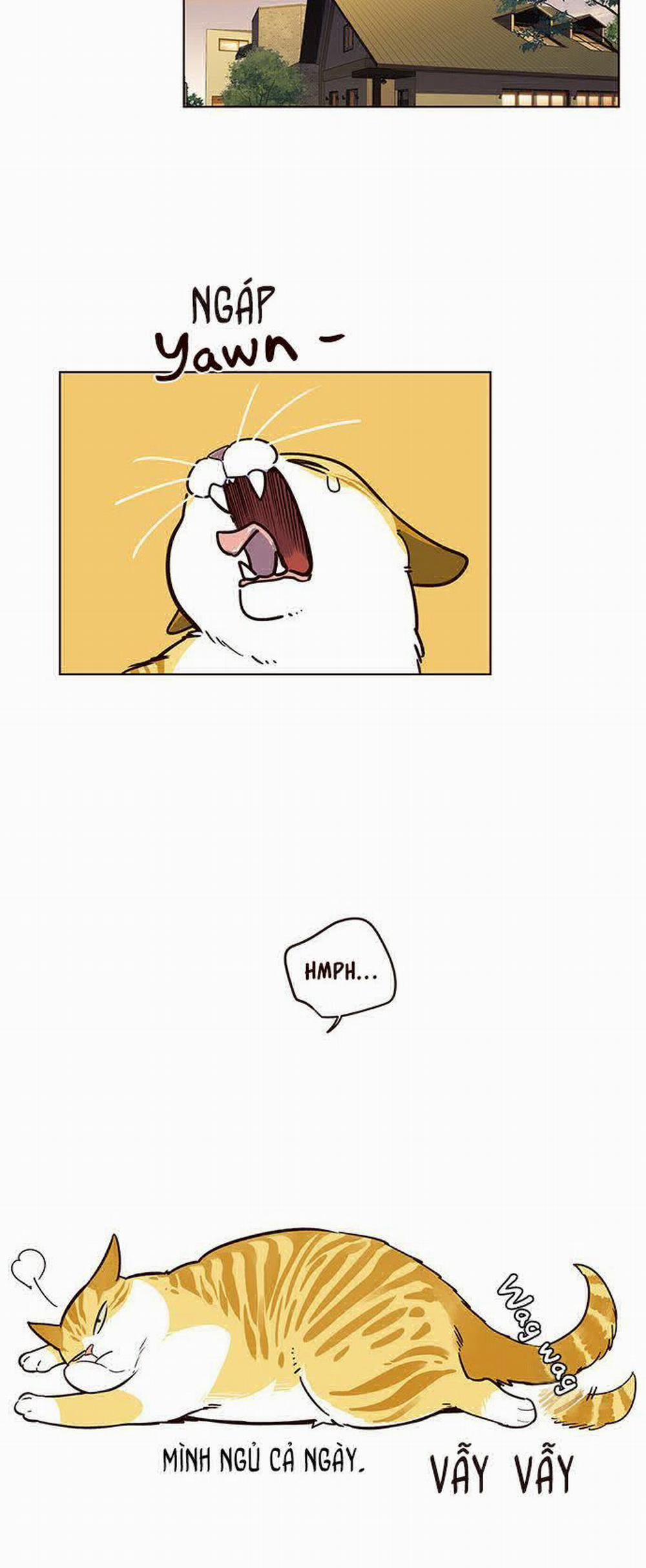 Hóa Thân Thành Mèo 12 trang 47