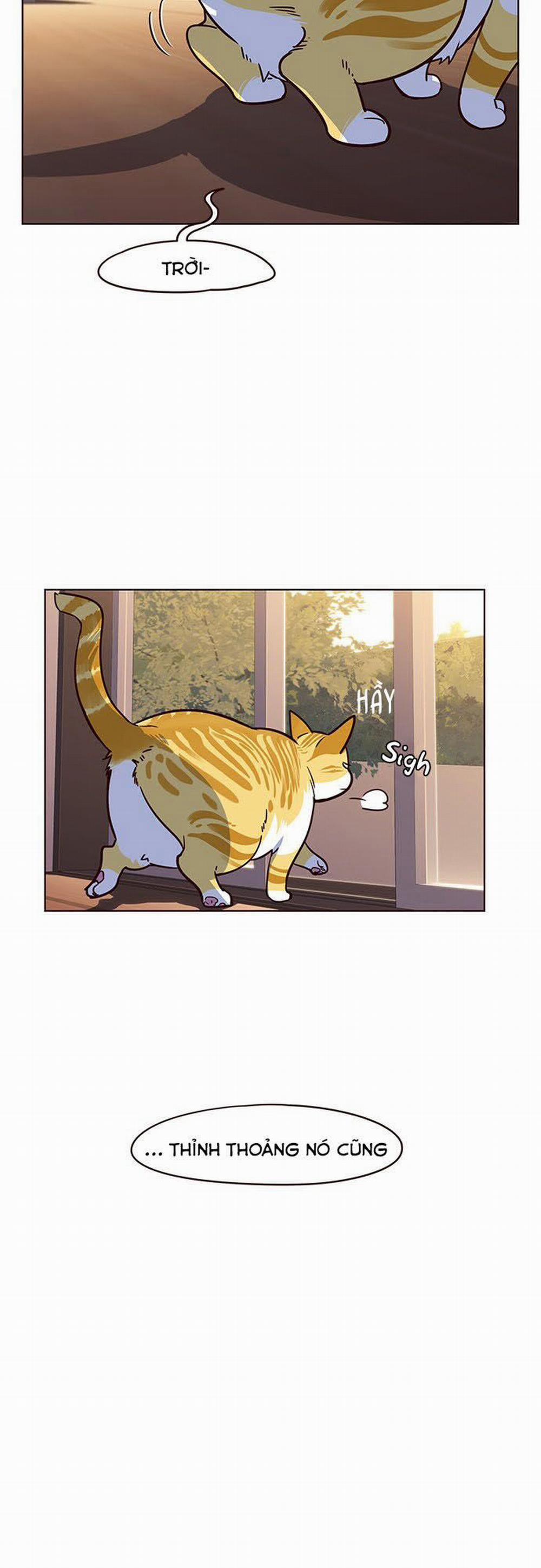 Hóa Thân Thành Mèo 12 trang 51