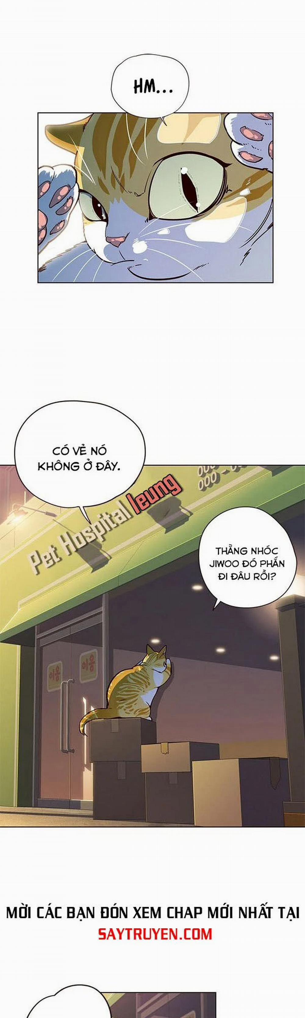 Hóa Thân Thành Mèo 13 trang 2