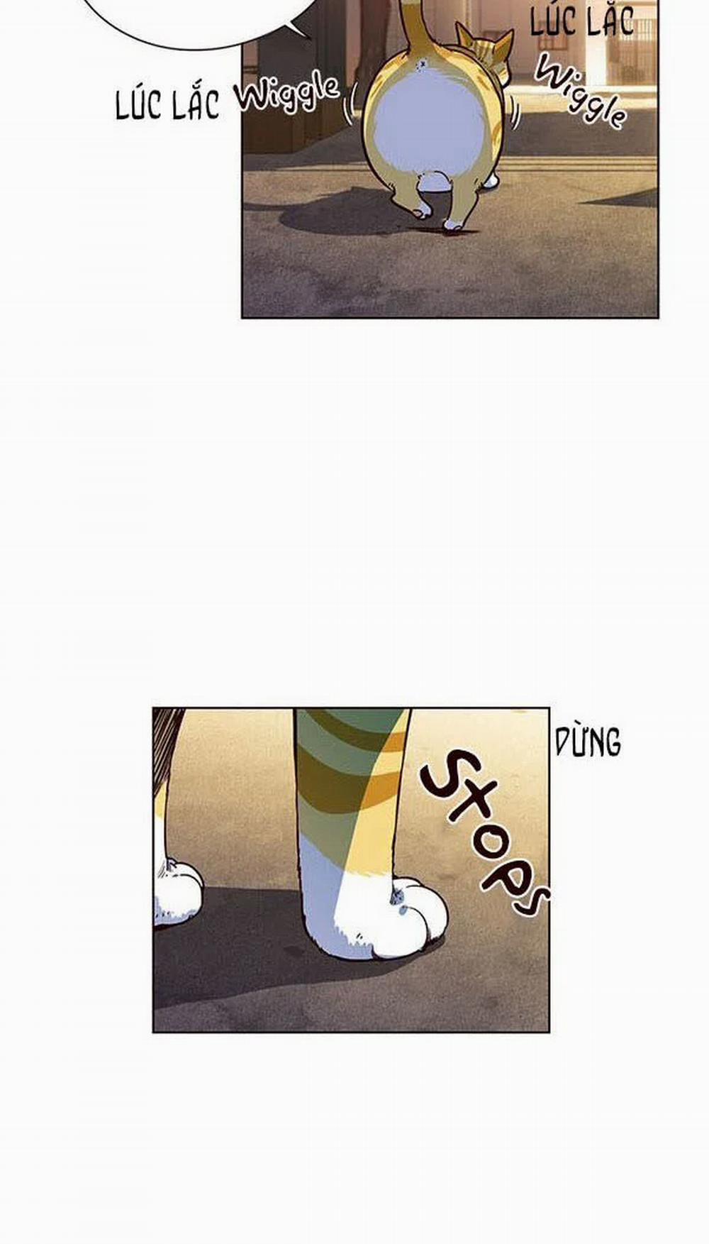 Hóa Thân Thành Mèo 13 trang 4