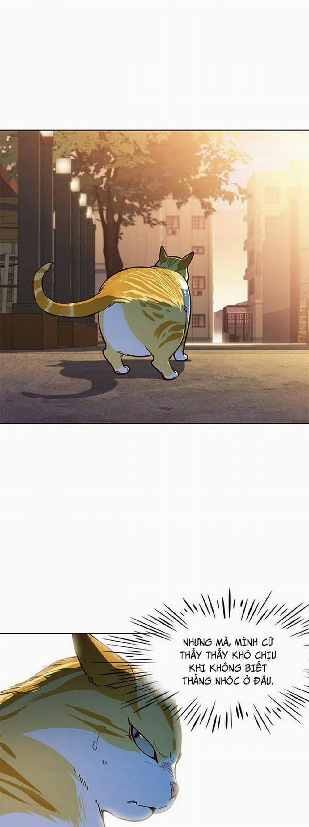 Hóa Thân Thành Mèo 13 trang 5