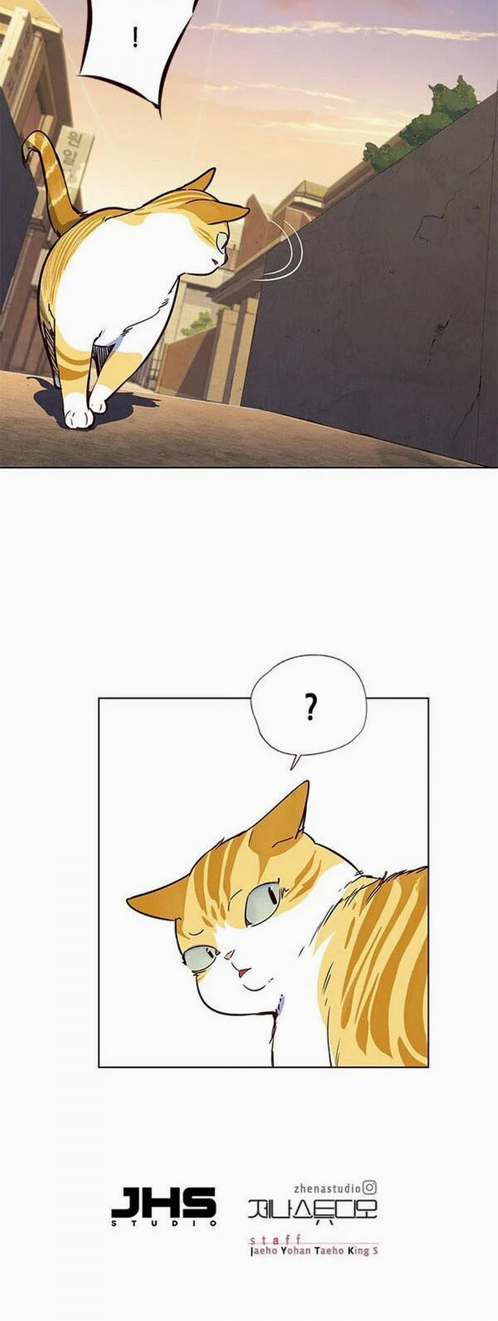 Hóa Thân Thành Mèo 13 trang 53