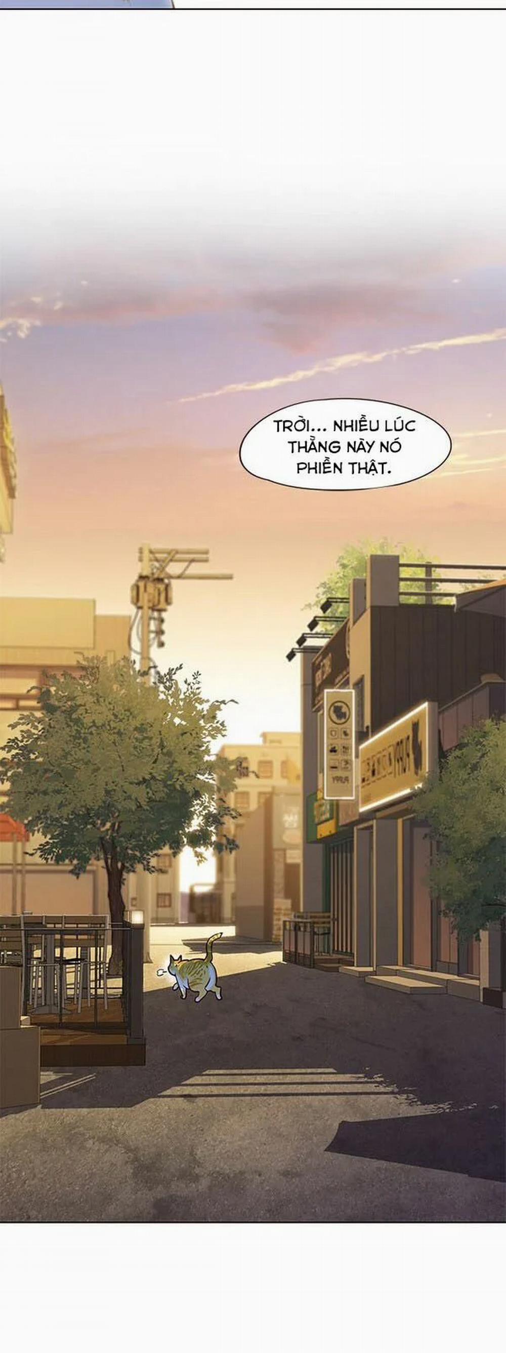 Hóa Thân Thành Mèo 13 trang 6