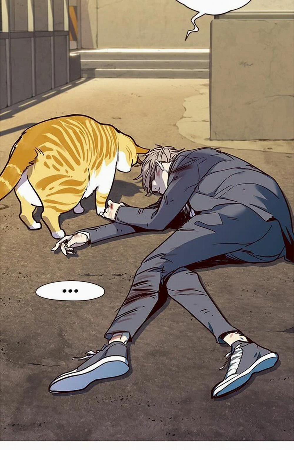 Hóa Thân Thành Mèo 14 trang 17