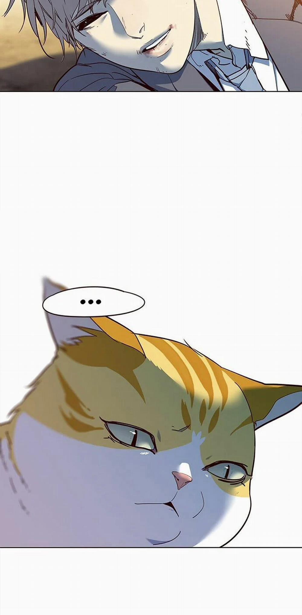 Hóa Thân Thành Mèo 14 trang 21