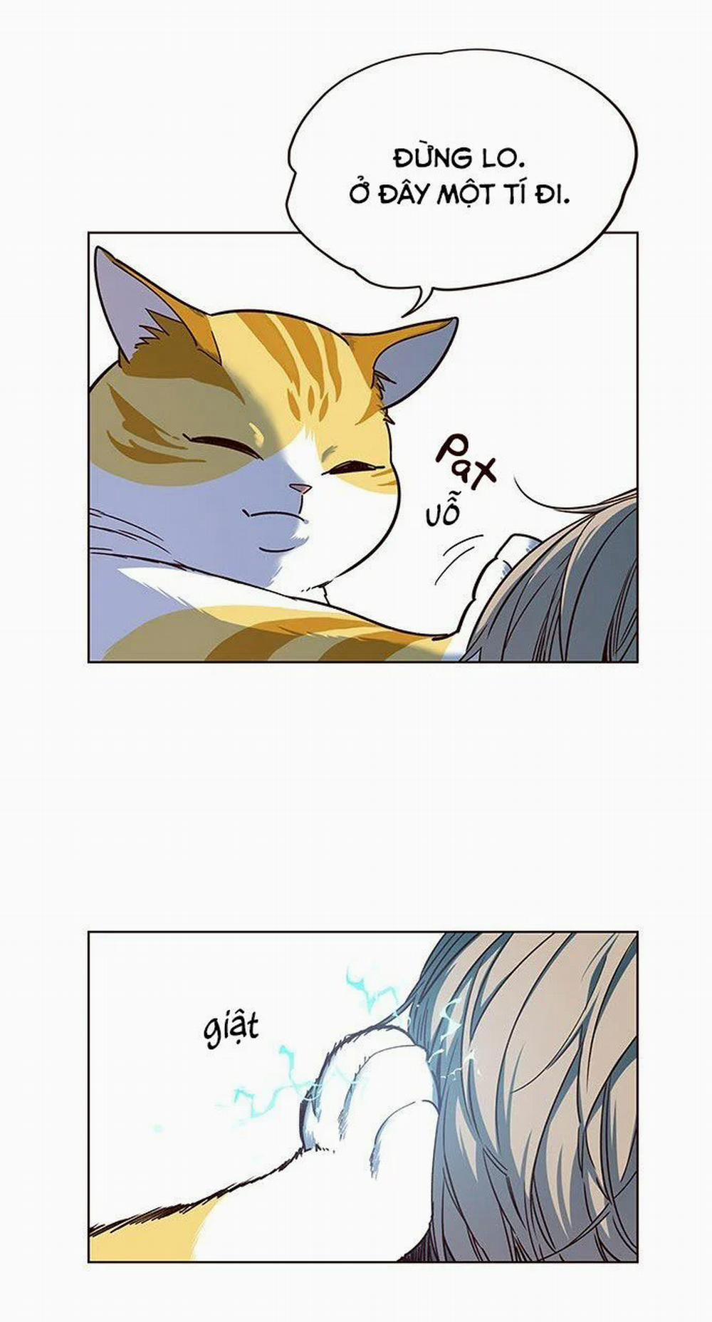 Hóa Thân Thành Mèo 14 trang 31