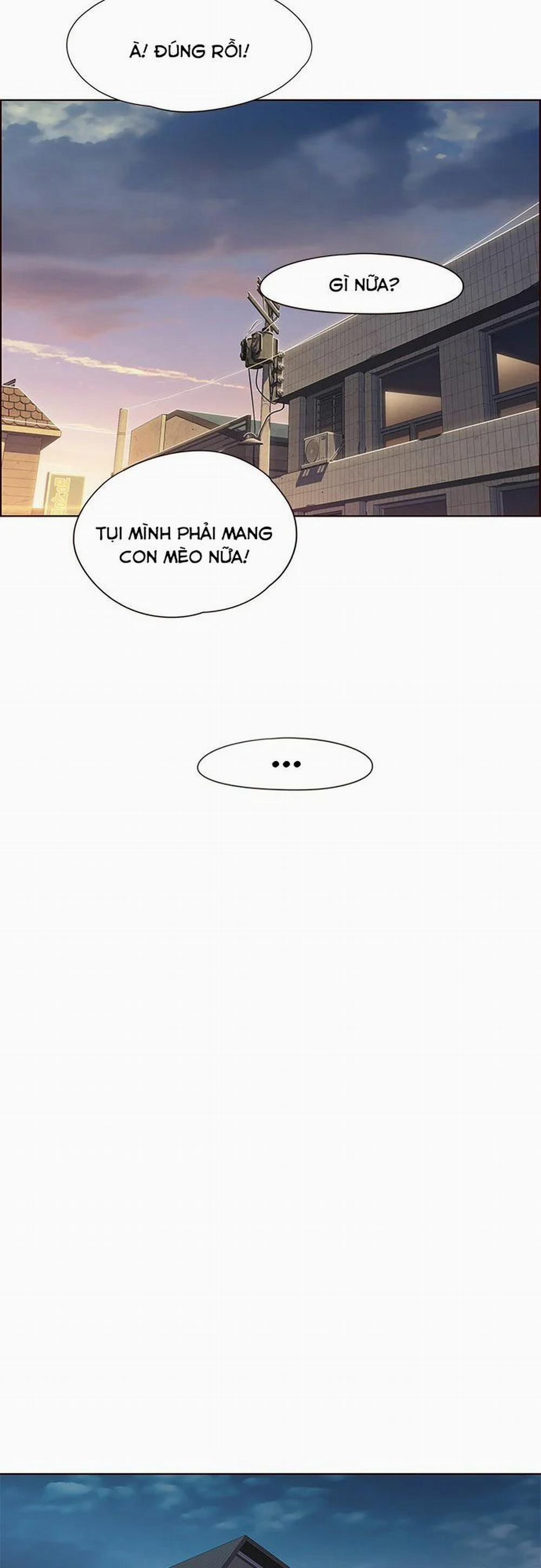 Hóa Thân Thành Mèo 15 trang 32