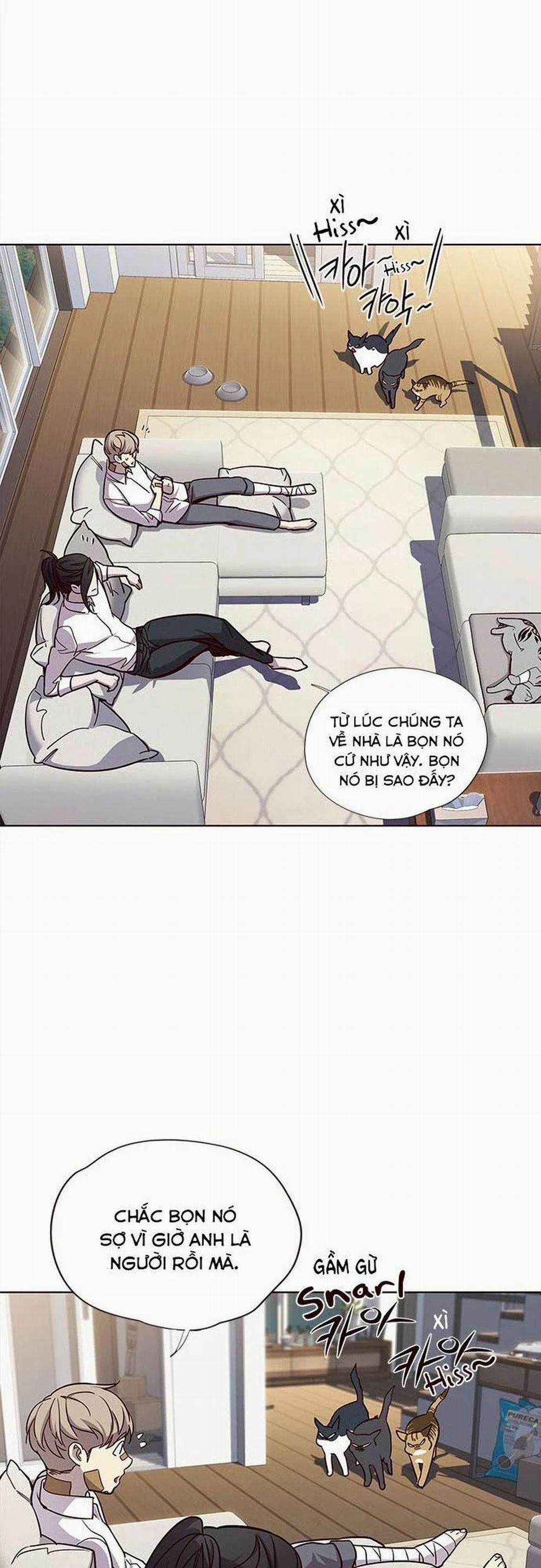 Hóa Thân Thành Mèo 15 trang 41