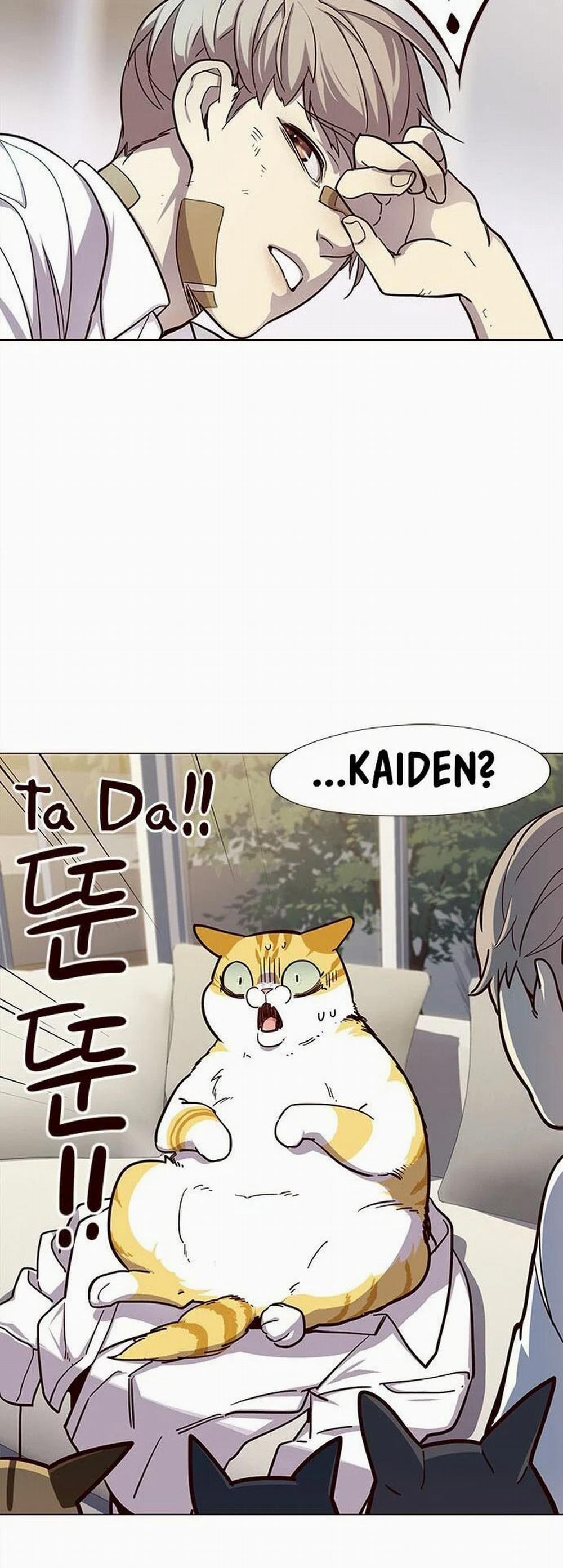 Hóa Thân Thành Mèo 15 trang 45