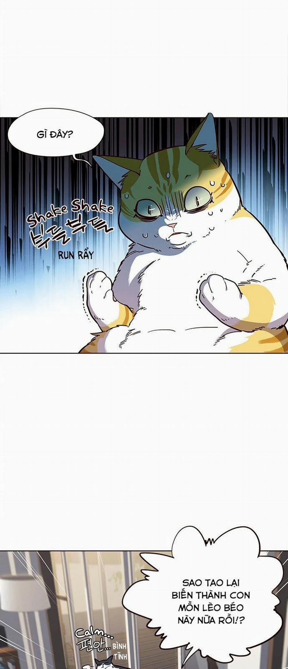 Hóa Thân Thành Mèo 15 trang 46