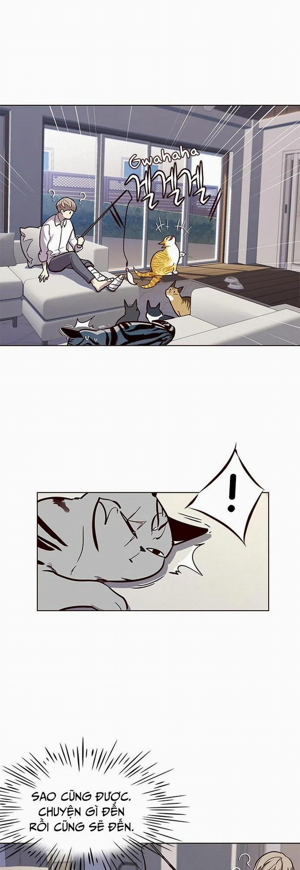 Hóa Thân Thành Mèo 16 trang 14