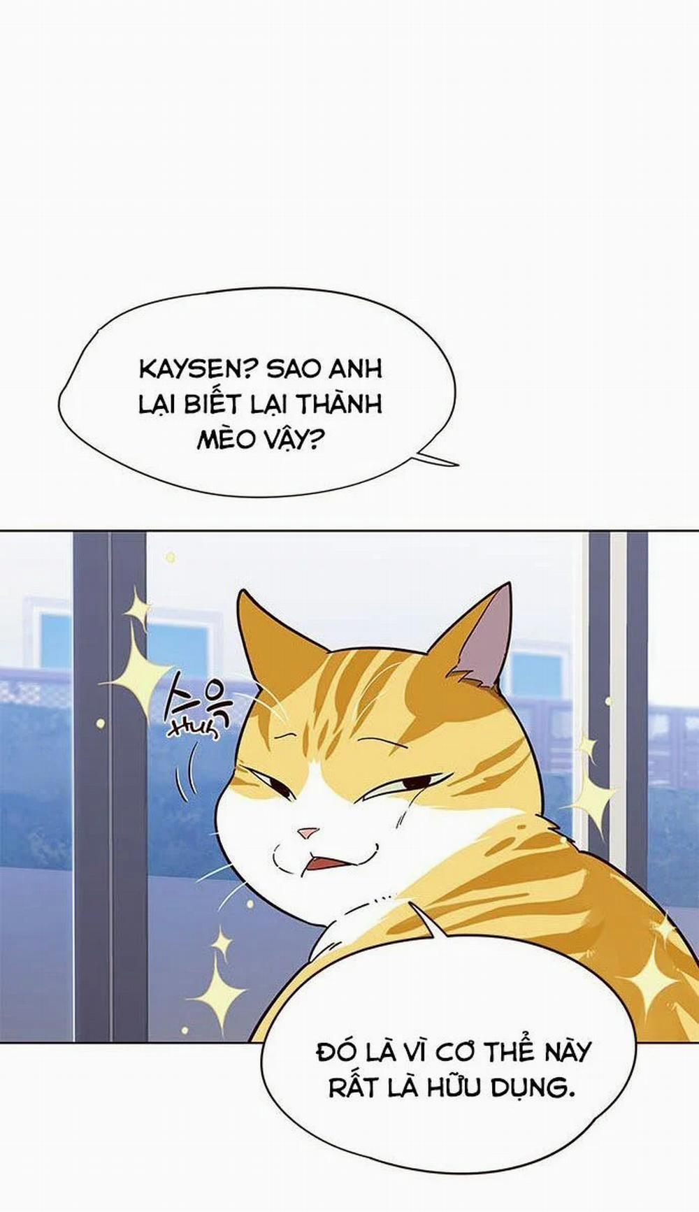 Hóa Thân Thành Mèo 16 trang 17