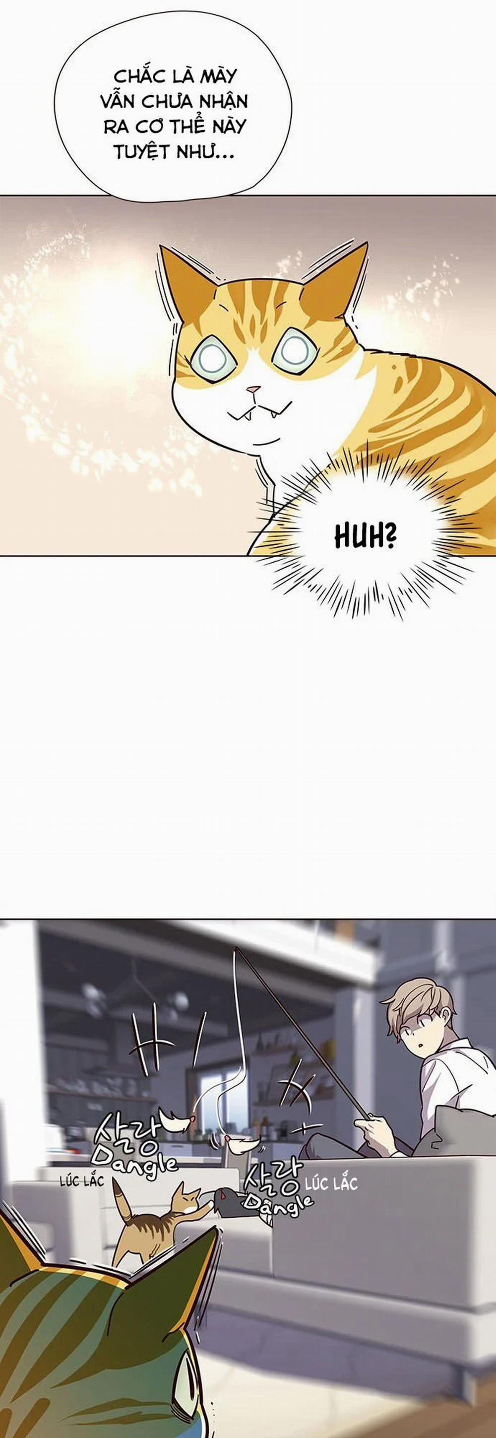 Hóa Thân Thành Mèo 16 trang 18