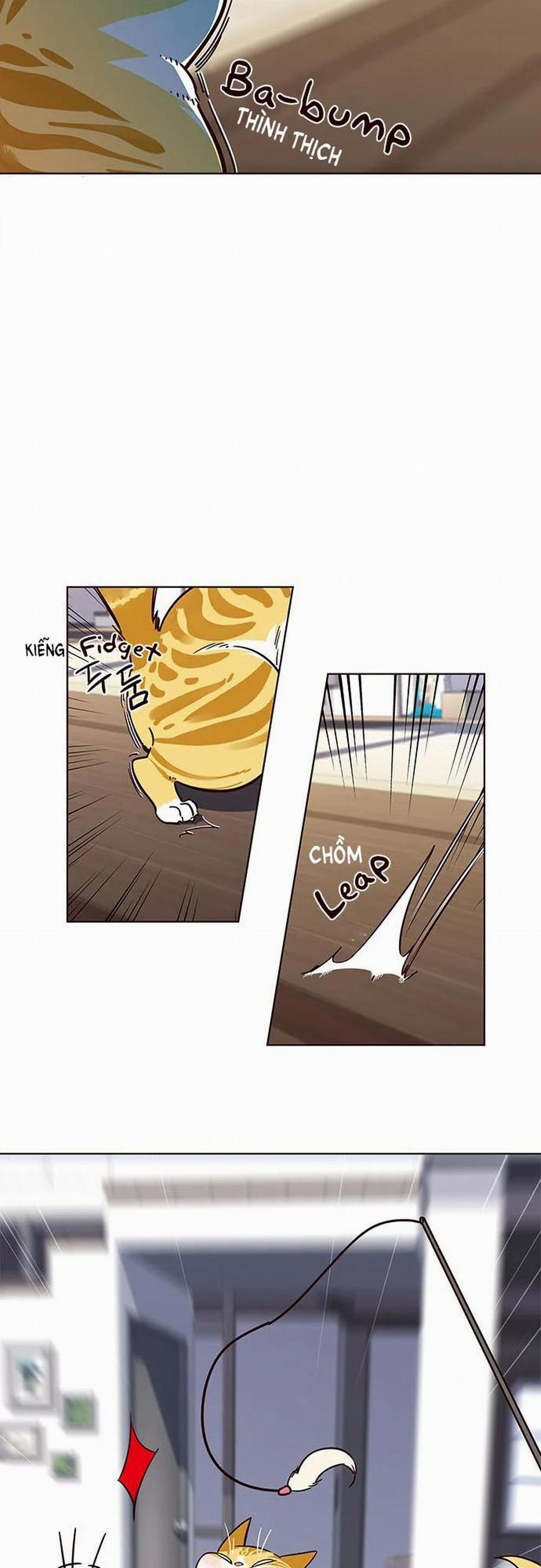 Hóa Thân Thành Mèo 16 trang 19
