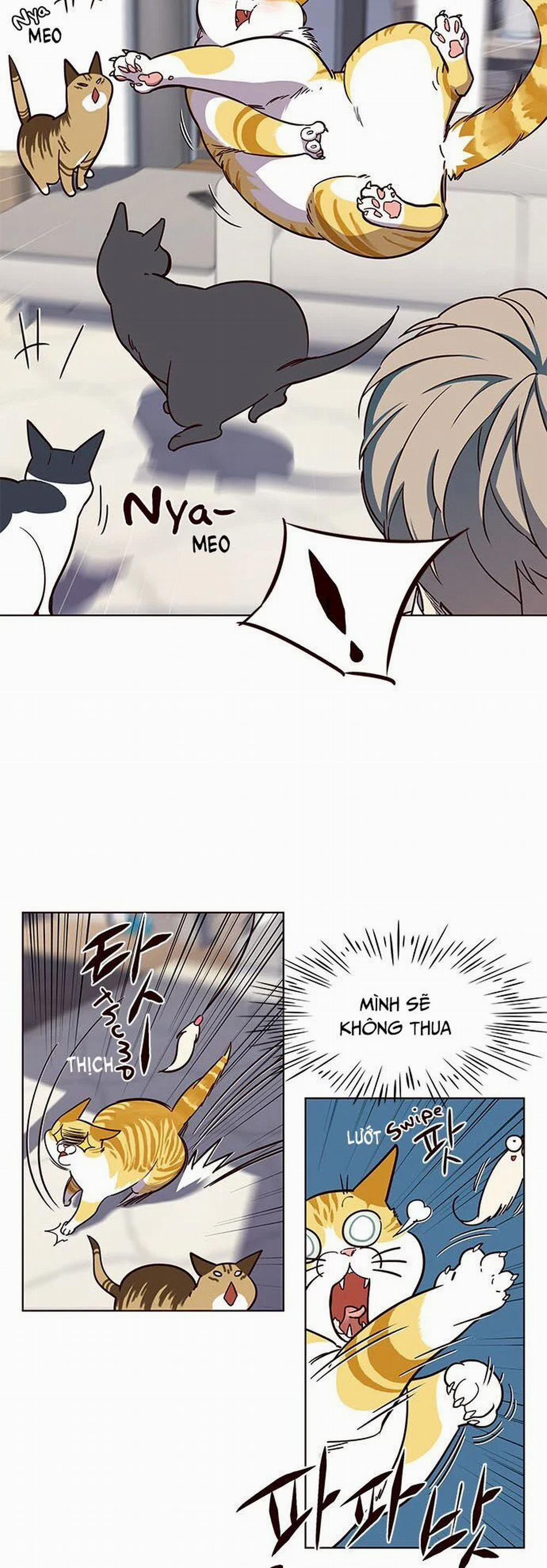 Hóa Thân Thành Mèo 16 trang 20