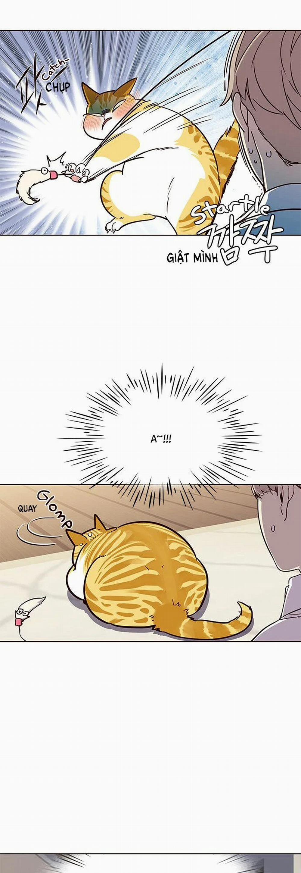 Hóa Thân Thành Mèo 16 trang 22