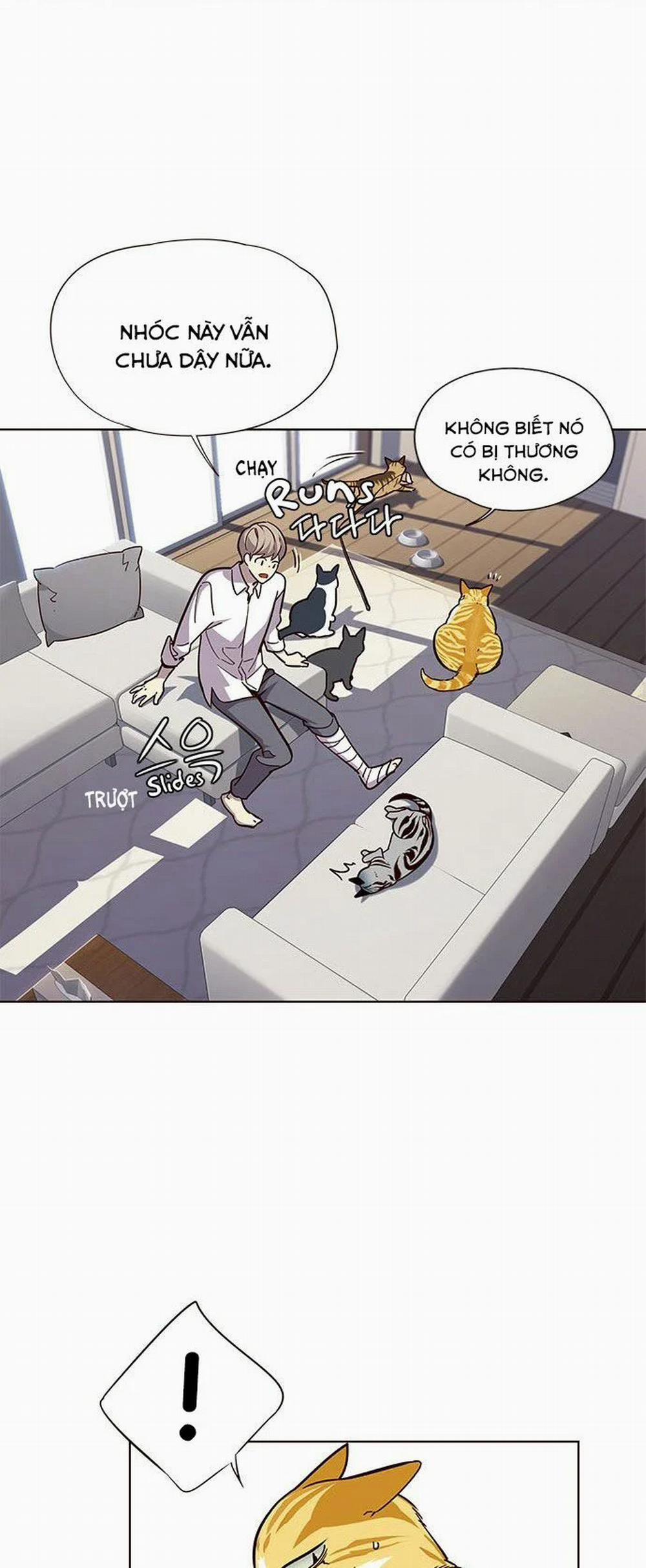 Hóa Thân Thành Mèo 16 trang 24