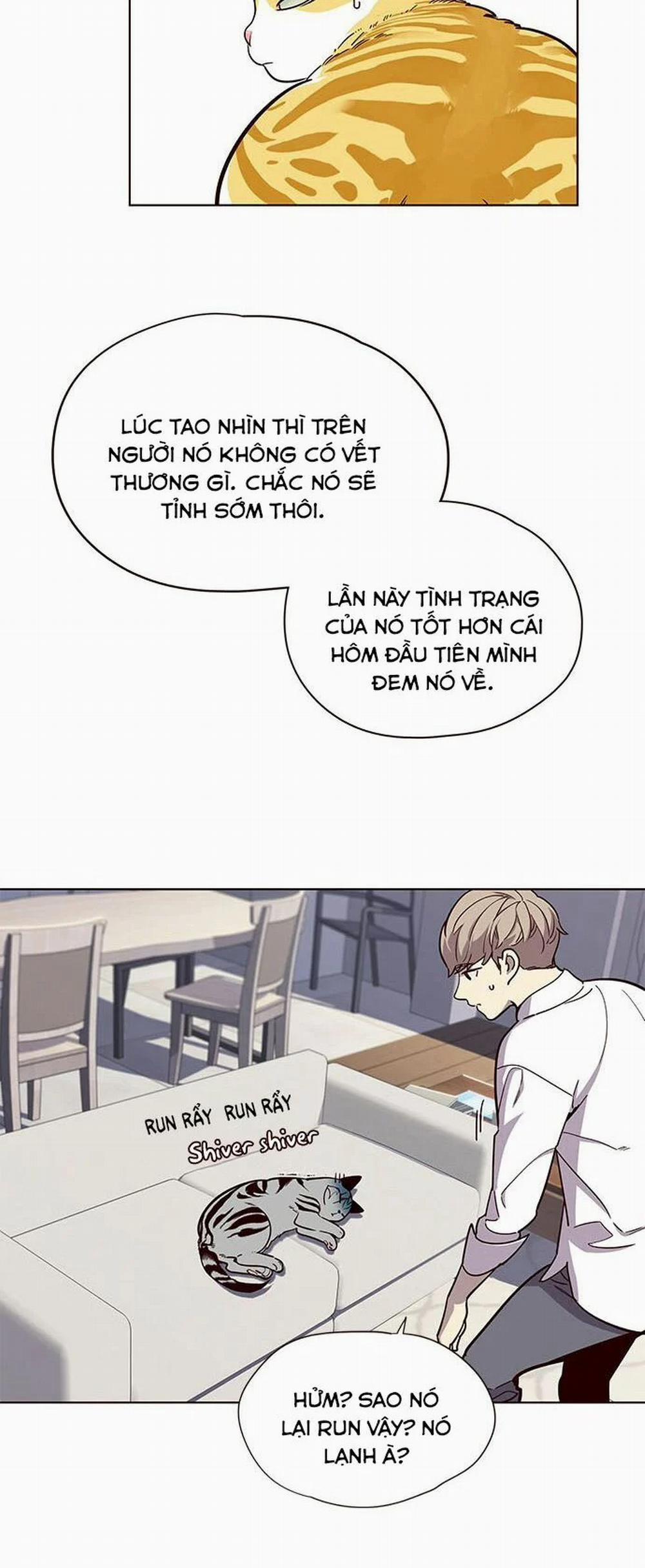 Hóa Thân Thành Mèo 16 trang 25