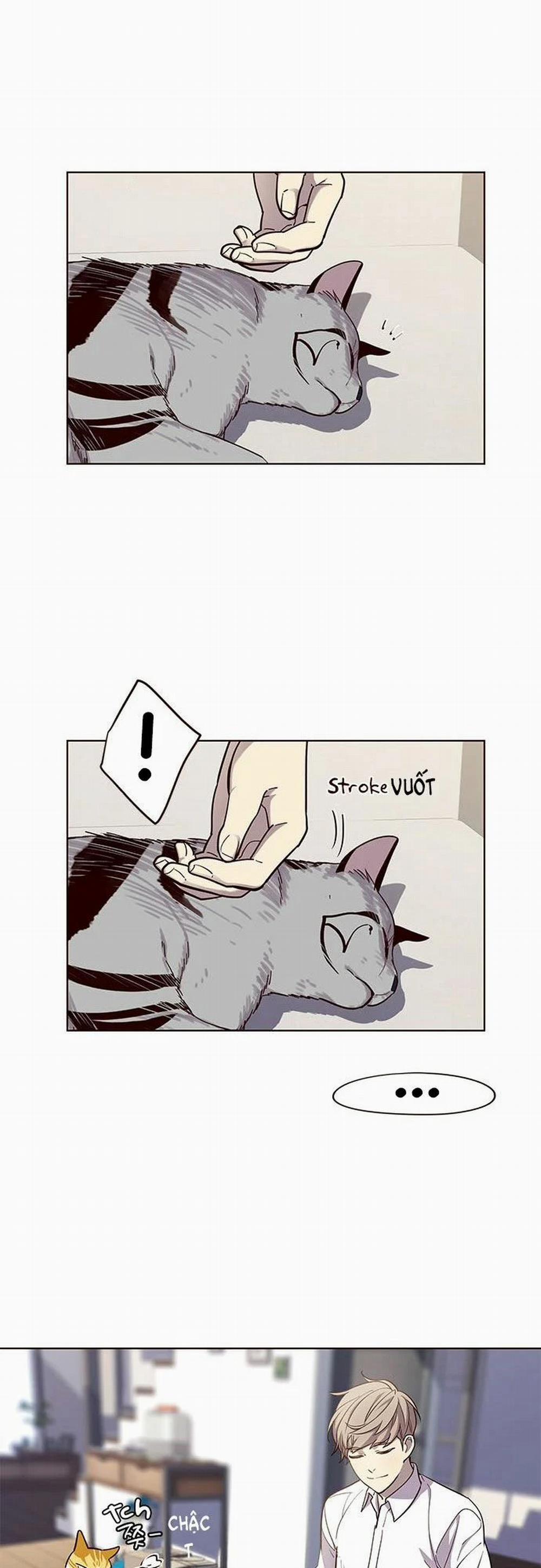 Hóa Thân Thành Mèo 16 trang 26