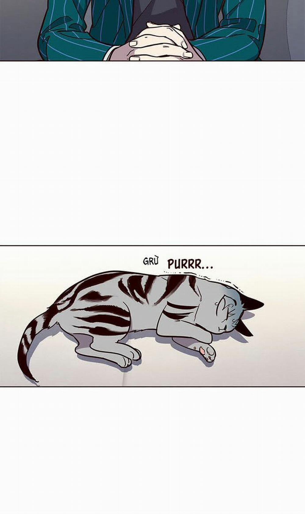 Hóa Thân Thành Mèo 16 trang 42