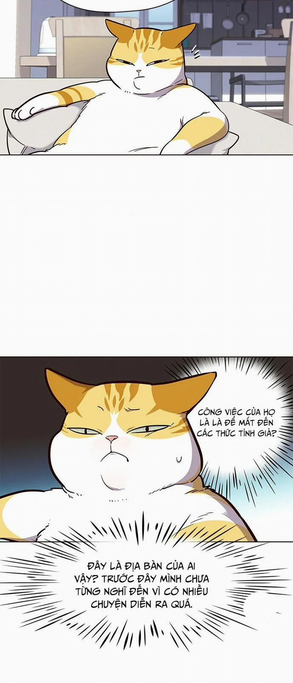 Hóa Thân Thành Mèo 16 trang 47