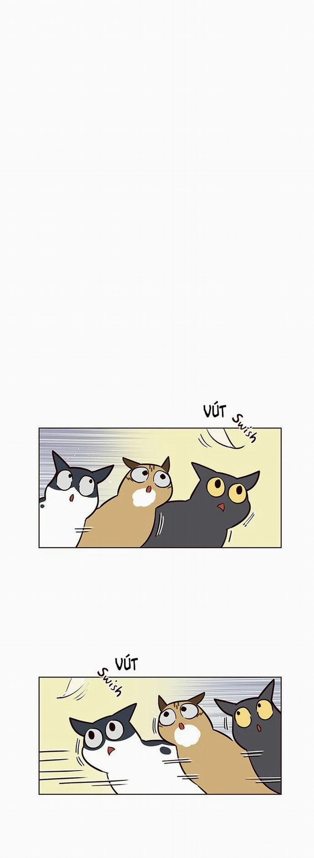 Hóa Thân Thành Mèo 16 trang 7