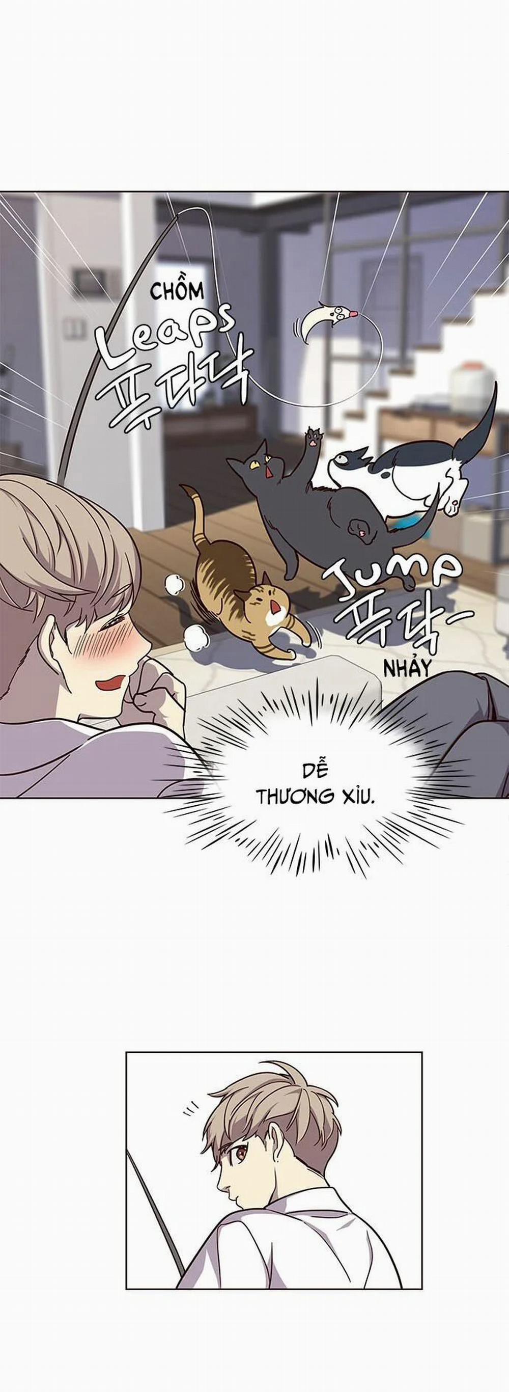 Hóa Thân Thành Mèo 16 trang 8